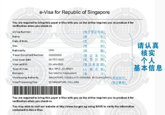 新加坡电子签证页